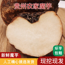 贵州农特产新鲜生魔芋大果豆腐原料磨芋头粉高原现挖现发5斤整箱