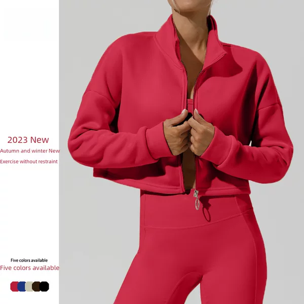 European and American Cross-Border Outdoor Sports Long-Sleeved Sweatshirt for Women in Autumn and Winter Stand-Up Collar Loose Thickeneded Warm Casual Zipper Jacket