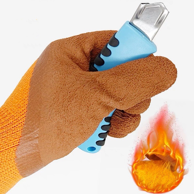 IMG_0916(20231129-214113)