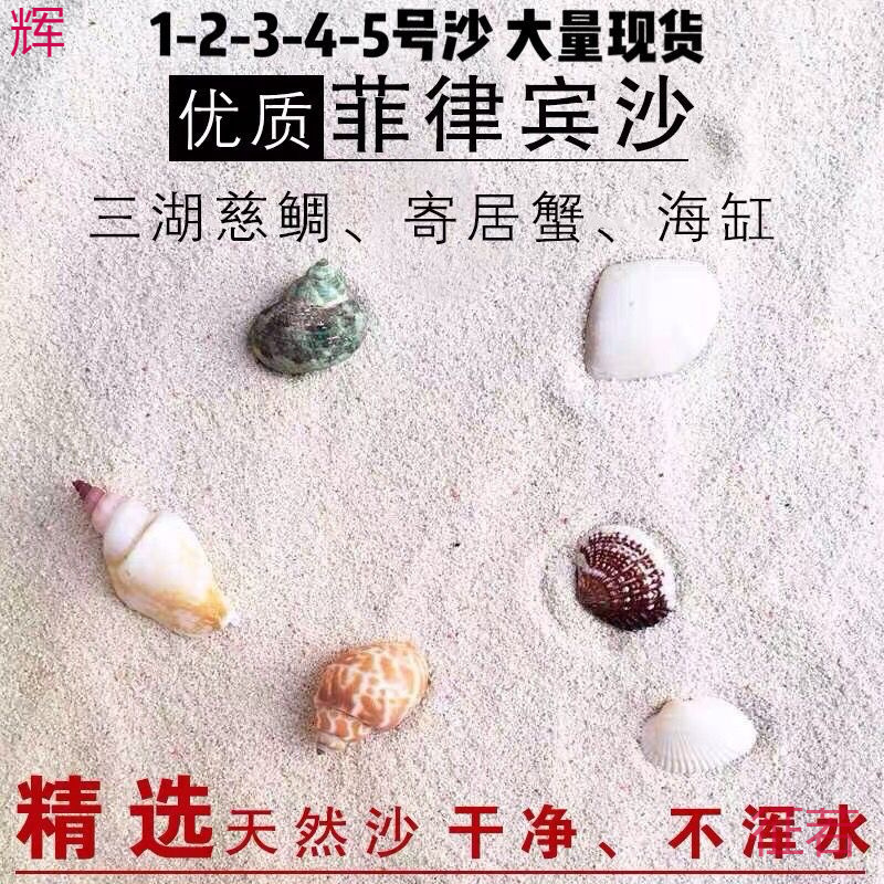 珊瑚砂鱼缸底壳三湖海沙海缸造景装饰三湖慈鲷寄居蟹一件批发代发