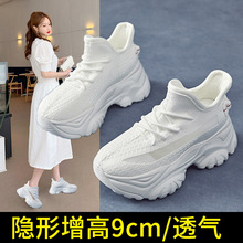 �ϵ�ЬŮЬ��2026�¿��ٴ����С��Ь�W�t�������e�\��Ь