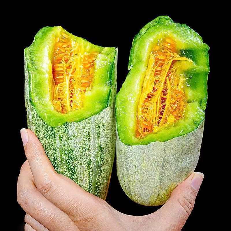 빅 과일 핫 스타일 팩 0.5kg