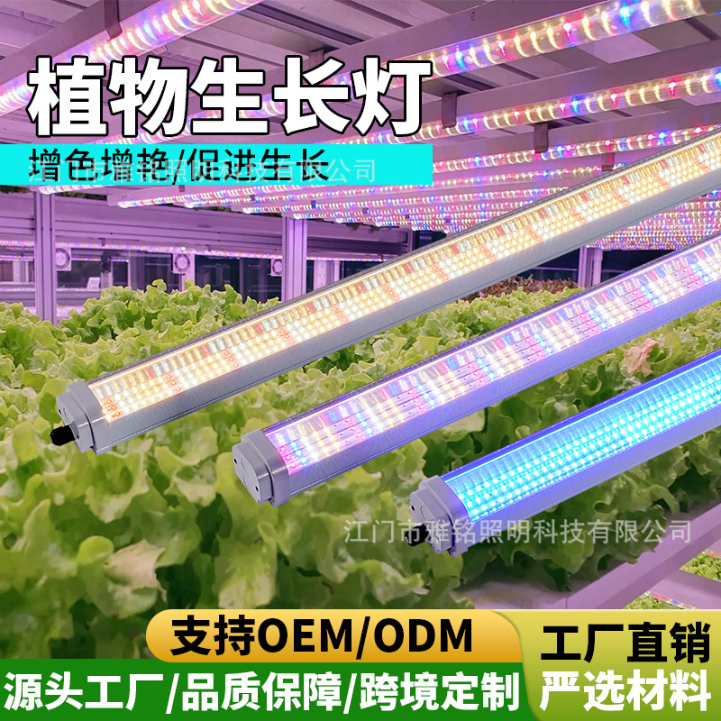 T20植物灯生长灯管花卉上色多肉仿太阳光水培蔬菜室温大棚补光灯