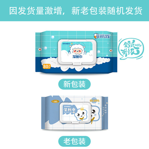 Manufacturer's Wet Toilet Paper Disposable Portable Cleansing Butt Wet Wipes 80 Pcs Vaginal Cleansing Wet Wipes for Men and Women Private Area Care