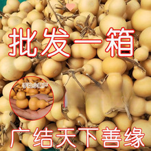 ���J����������С���JС���ְѼ�����������l