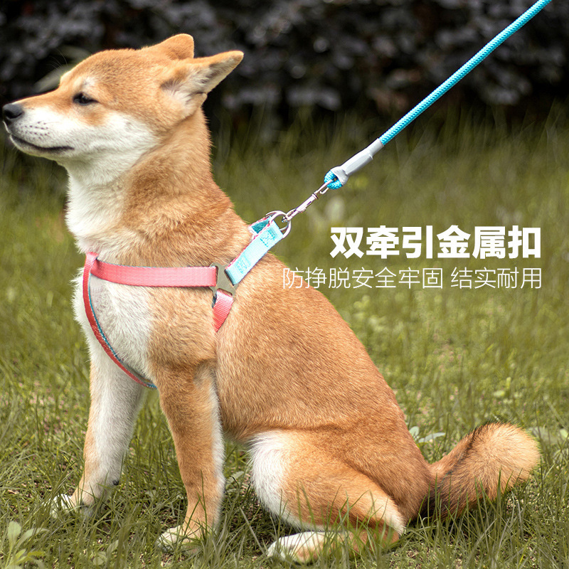 Cuerda de tracción para perros Cuerda p a prueba de explosiones Cuerda ajustable de dos colores Cuerda para pasear perros Pecho y espalda para perros Productos para mascotas transfronterizos al por mayor