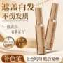 自然上色均匀美发补色笔