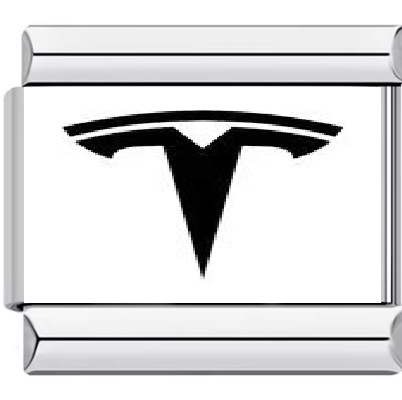 2069-흰색 배경 TSLA