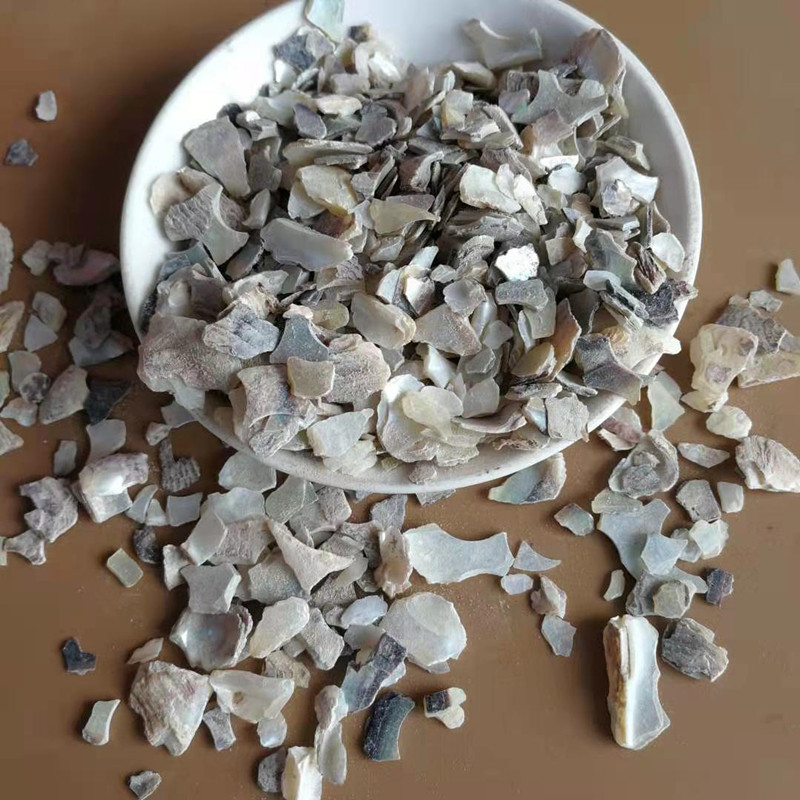 Sea Abalone Shell Granules Shi Jue Ming 500g Dried Mineral Herb for Decoction and Culinary Use quality and texture