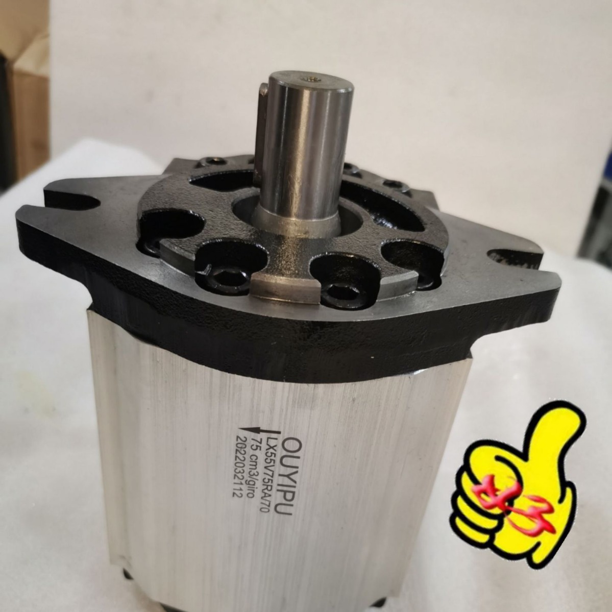 QCIST齿轮油泵LX55V75RA70 LX45V45RA/70液压油泵OUYIPU齿轮泵