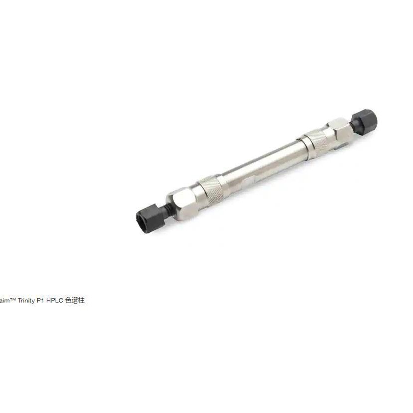 赛默飞CH-953456 TurboFlow色谱柱 基于聚合物的相混合阳离子交换