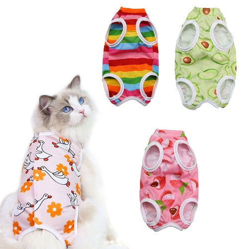 Cat spay surgery postoperative fruit series four seasons pet clothing supplies for small and medium dogs all-inclusive