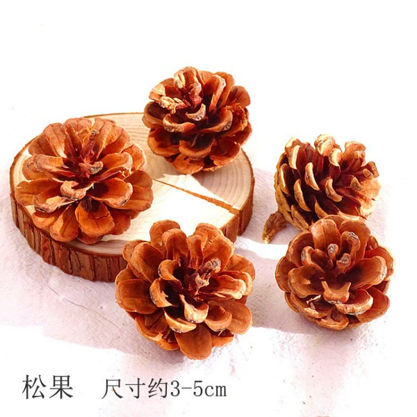 [本色松果5个-干花包]