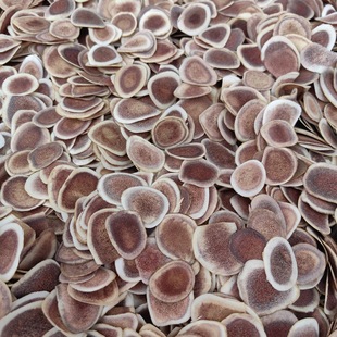 ¹��¹��Ƭ�|��¹��ֱ�I��Ʒ��ș�����M���ѪƬ�t����¹����Ʒ