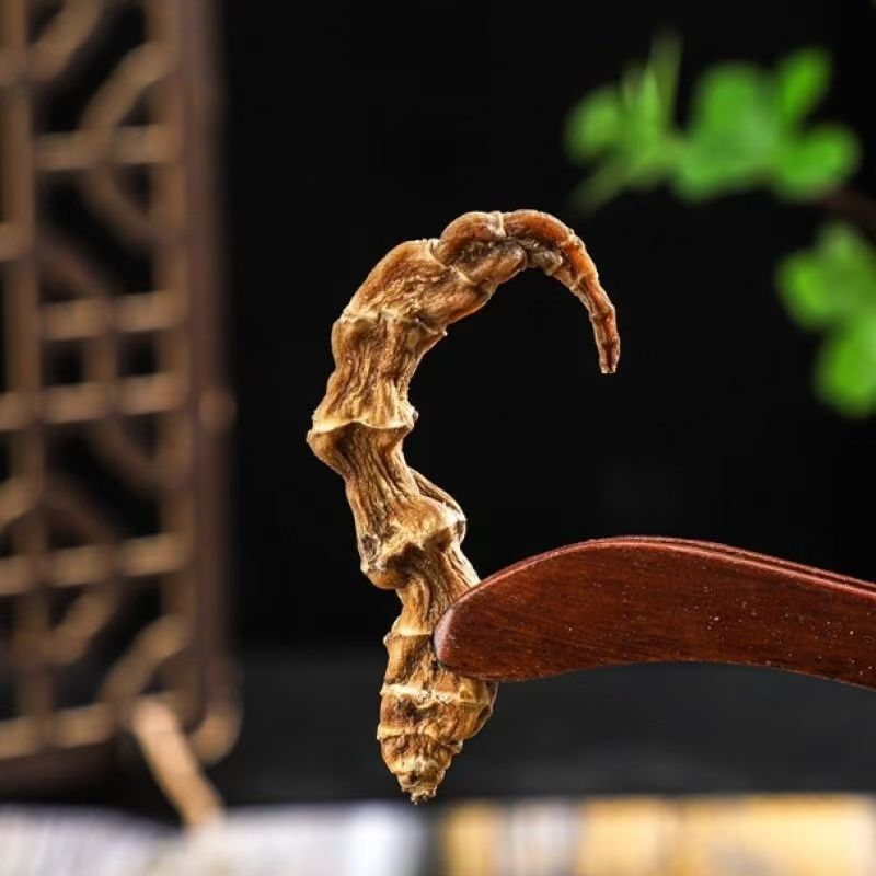 Dried Di Shen Earth Ginseng Root 500g Yunnan Herbal Soup and Wine Ingredient quality and texture