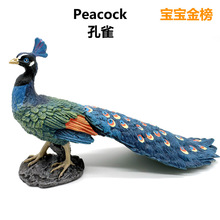 �羳���涯��ģ�Ͷ���԰����ȸ�̿�ȸ������ȸ�ҾӰڼ����ɽ̾�
