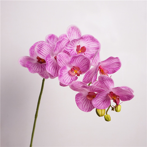 Simulated flower feel orchid soft glue 9-head butterfly orchid home flower arrangement decoration ornaments window landscaping wedding floral art