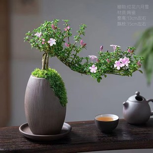 �t������ѩ�辰�����Ϙ������辰�k���҃Ⱥ��BС���ԾGֲ��������