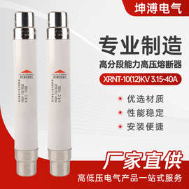 XRNT-10(12)KV  3.15-40A变压器专用熔断器10KV高压限流熔断器