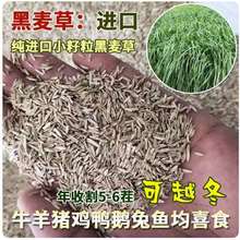 ݷNıwݷNѶ70ݷNͺuZiţ~