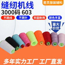 603涤纶缝纫线 耐摩擦质优缝纫机线 拷边绗绣线 内衣缝纫线厂家