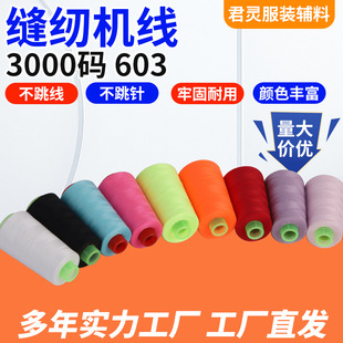 603��]�p�x�� ��Ħ���|���p�x�C�� ��߅�W���� ���¿p�x���S��