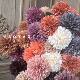 Simulation of small ball flower dandelion table tennis chrysanthemum DIY manual flower arrangement home decoration photography props cross-border foreign trade