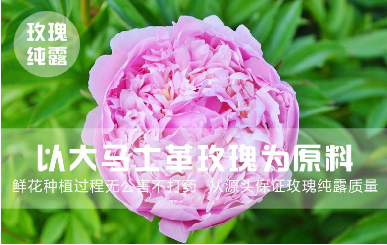 微信截图_20200602162433