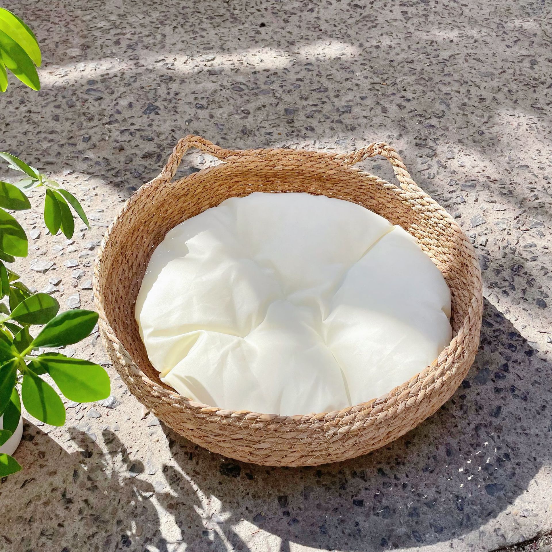 고양이 귀 둥지 + 흰색면 패드