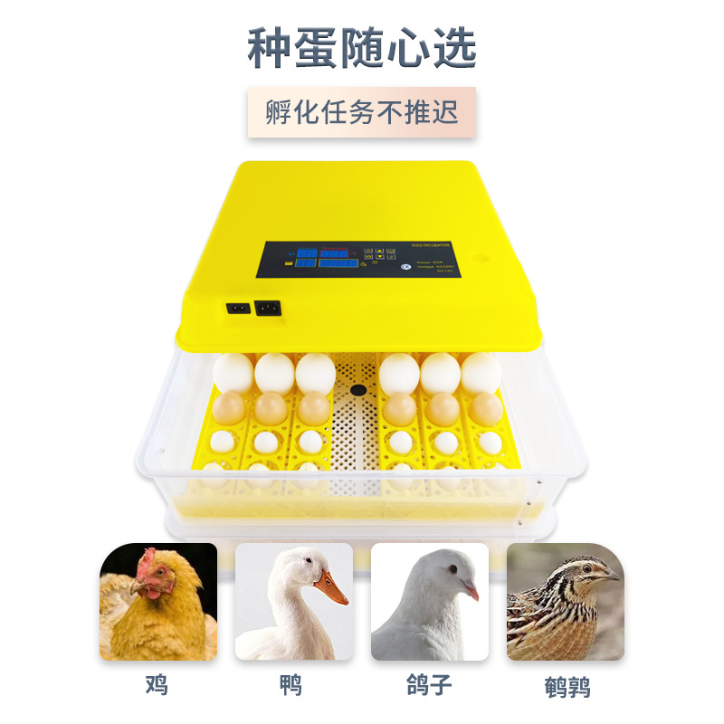 Automático inteligente de 96 piezas de doble potencia incubadora hogar pequeño equipo de incubación rutina pollo pato codorniz incubadora