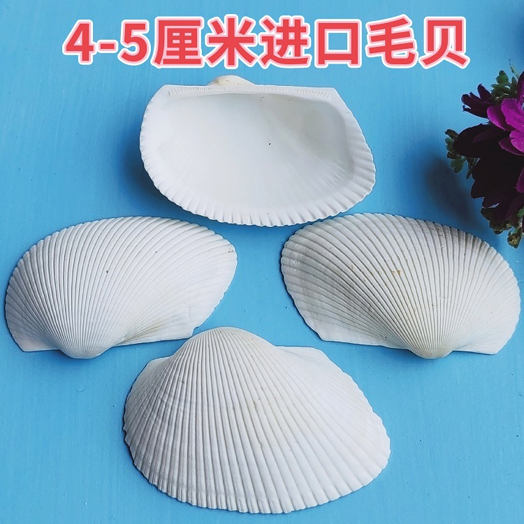 MEITU_20241119_114100703