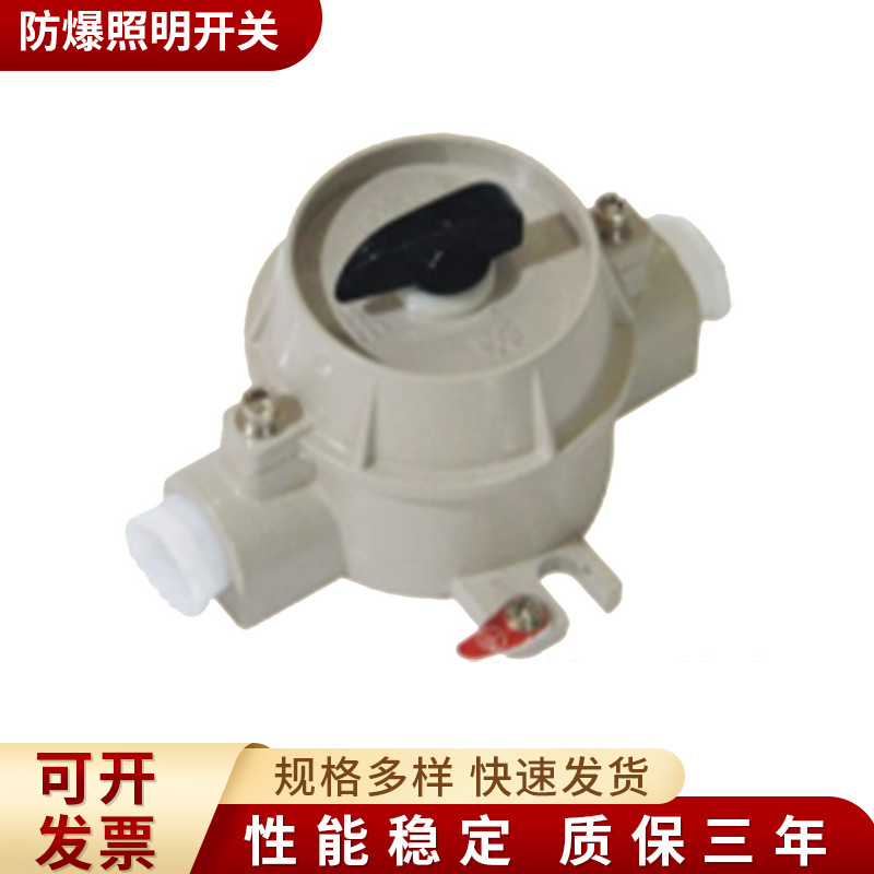 防爆照明开关 浙江新黎明环保SW-10 220V/380V 防爆开关BZM 带证
