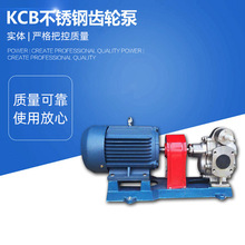 不锈钢齿轮泵 抽油泵KCB135/200耐腐蚀增压泵大流量润滑油齿轮泵