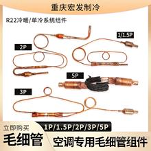 �m������ĸ����W��˹��1-5ƥ���{ͨ��ë���ܽM �����y�^�V���M��