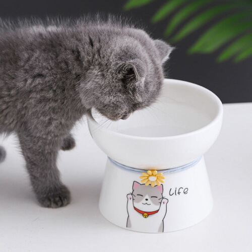 Pet Ceramic Cat Bowl Cute Drinking Bowl Cat Food Bowl Pet Bowl High-Stepped Neck Protection Small Dog Bowl Cat Bowl High-Stepped Plate