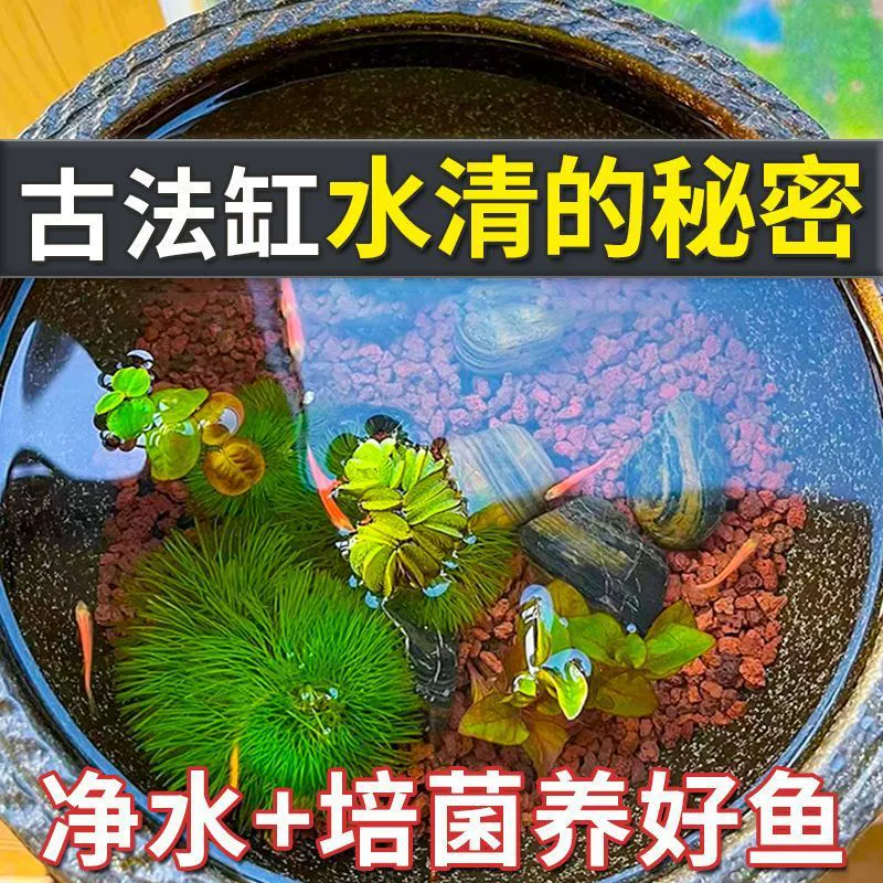 Вулканический камень для аквариума, декор песчаный ландшафт, с древними слоями, фильтрационные материалы для специальной воды, естественные пески дна