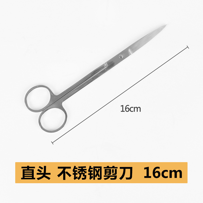 SUTURA veterinaria aguja de sutura para mascotas veterinaria especial de acero inoxidable aguja recta aguja curvada herramienta de sutura quirúrgica de cerdo