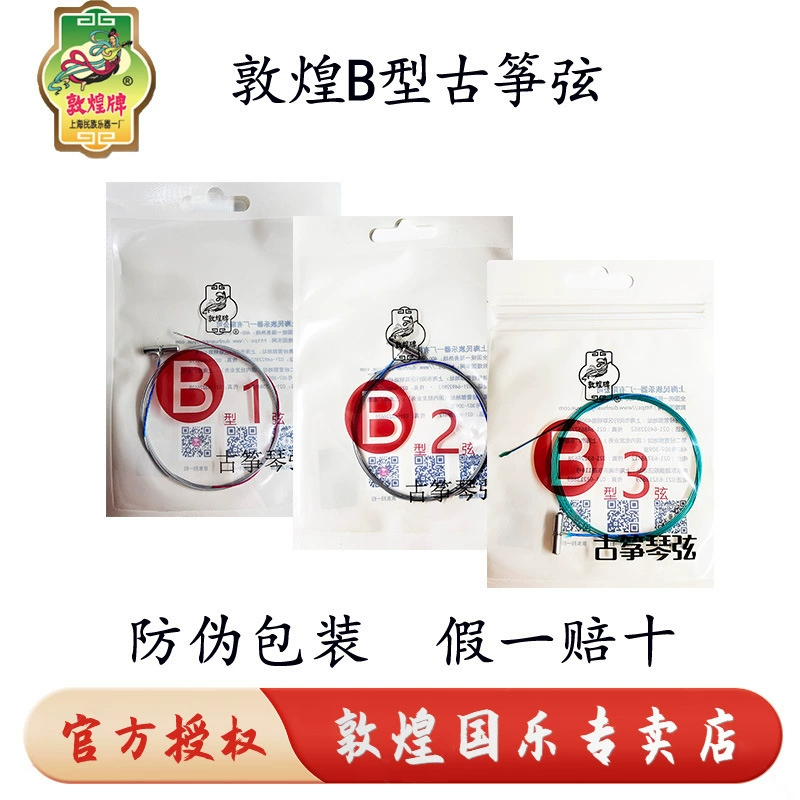 Струны Dunhuang guzheng, струны guzheng B, тип 1-21, струны профессионального уровня, экзаменационные стальные нити, нейлоновые струны, универсальные