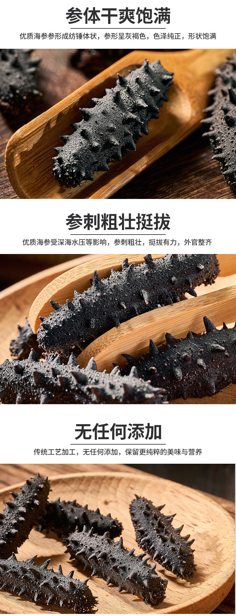 淡干海参详情_03
