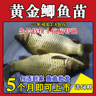 ���|�п���̖С�y�����a�~�~�絭ˮ���w���~�����~�绨�������