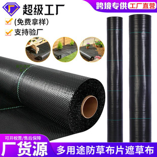 Cross-Border Supply of Anti-Weed Cloth, Weed Removal Cloth, Agricultural Orchard Ground Cloth, Mulch Film, New Ecological Grass Cover Cloth, Wholesale Grass Cover Cloth