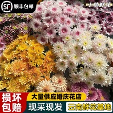 �r������С�r�������~С�������������ֱ�l��S���B���������l