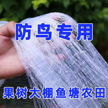 防鸟网果树大棚葡萄樱桃蓝莓果园尼龙防护网阳台鱼塘天网工厂直销