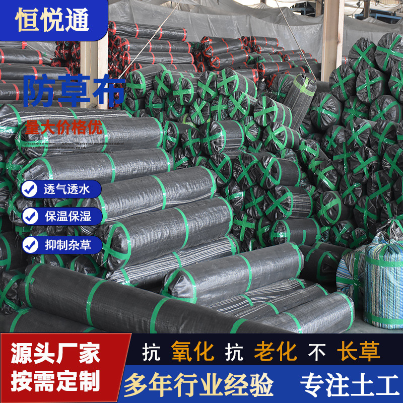 果树专用防草布农用抗老化除草布透气渗水黑色地布pp打孔布防草布