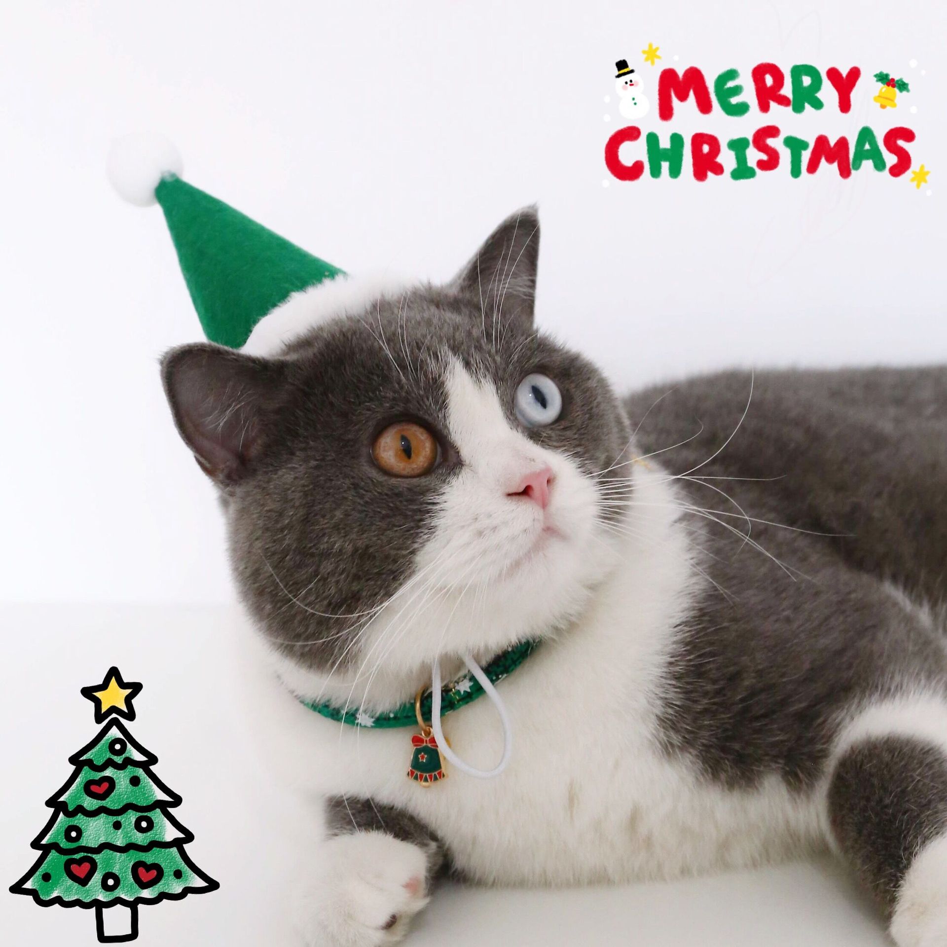 180g Weight Costume Props Event & Party Supplies Pet Hat Type Of Pet Supplies 1 Piece Quantity Daily Occasion Nonwoven Material Christmas Festival Color Block Pattern All Seasons Season Simple Style Style Simple Style Nonwoven Christmas Color Block Pet Hat 17