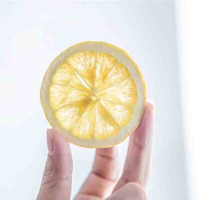 -60 Fruit slices Freeze dryer food Chinese herbal medicine equipment laboratory Desktop vacuum Freezing dryer