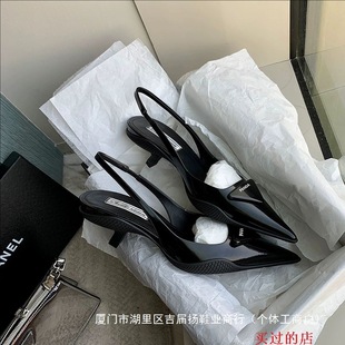 2025����P�����ǘ˜\�ڼ��^�������Űٴ��n���տێ����|��ЬŮ