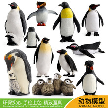 跨境儿童认知仿真极地海洋动物企鹅模型帝王企鹅非洲企鹅摆件玩具