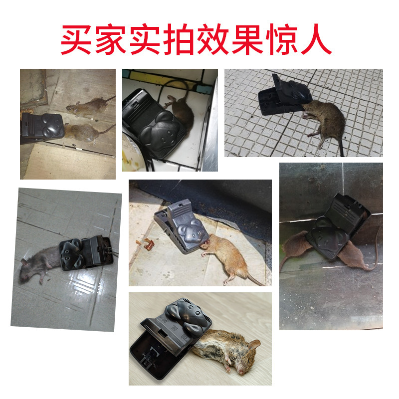 超强老鼠夹子捕捉抓逮老鼠捕鼠夹家用全自动一窝端塑料灭鼠夹子|undefined