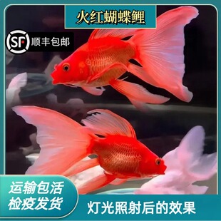 ����S���]��̨����t�F��������ʯ��׶����\���ͺ���ˮ�^�p�~